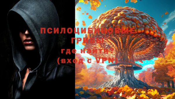 эйфоретик Алексин