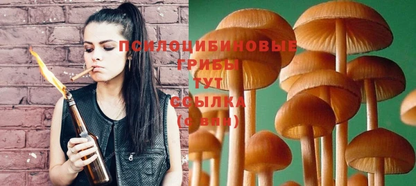 гашик Алзамай