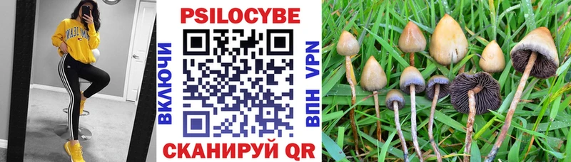 Псилоцибиновые грибы Psilocybine cubensis Качканар
