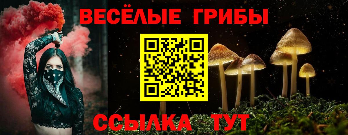 Псилоцибиновые грибы Psilocybe  купить закладку  Качканар  Вход с VPN 